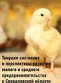 Аналитический доклад «Текущее состояние и перспективные направления развития малого и среднего предпринимательства в Свердловской области» Аналитический доклад «Текущее состояние и перспективные направления развития малого и среднего предпринимательства в Свердловской области»
